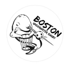 Boston Narwhals